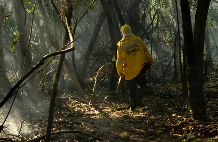 Amazônia tem o maior número de queimadas e incêndios em 17 anos