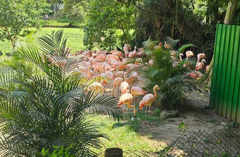 Quaquá visita e estuda parceria com zoológico de São Paulo