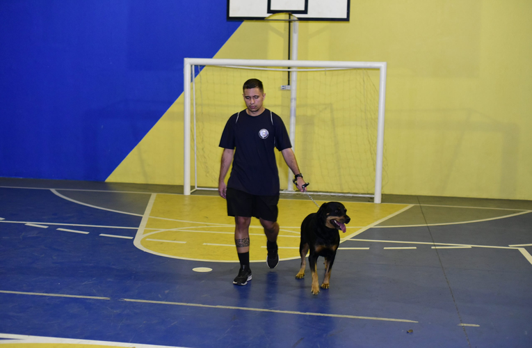 Inscrições abertas para curso de adestramento canino em Maricá