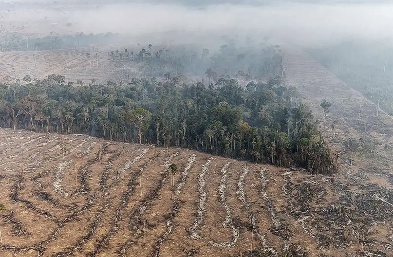 Fundo Amazônia