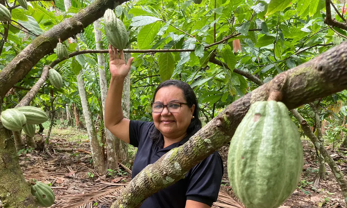Bioeconomia impulsiona Amazônia rumo à COP30 com investimentos e inovação