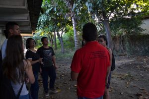 horta comunitária de Maricá