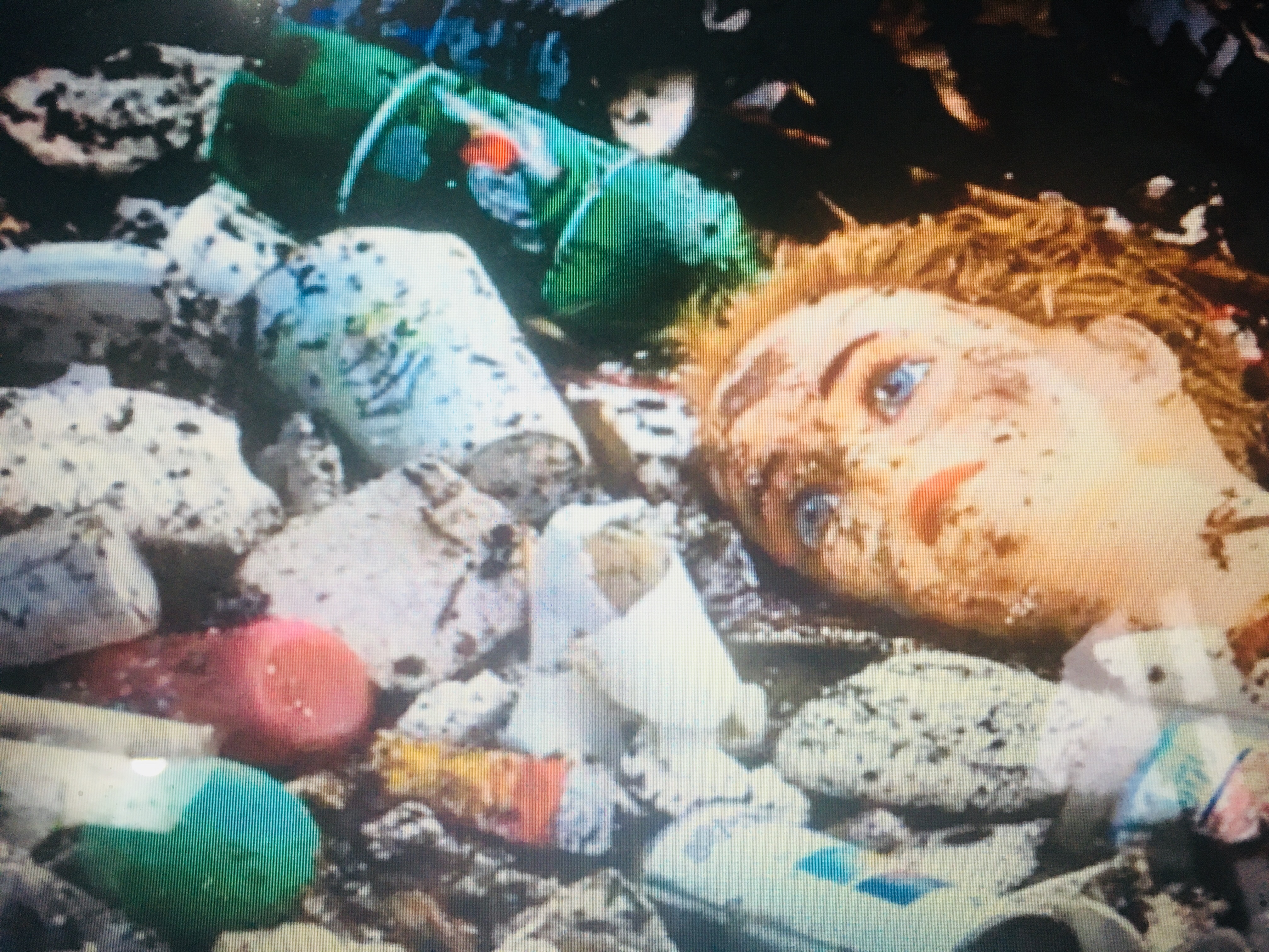 ONU promove atividades de conscientização em comemoração ao dia Mundial do Meio Ambiente