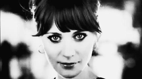 Eventos do final de semana – Bazar Solidário mmartan -Adoção cães e gatos 🐈   🐱 – Festival de pipas – Aproveite!