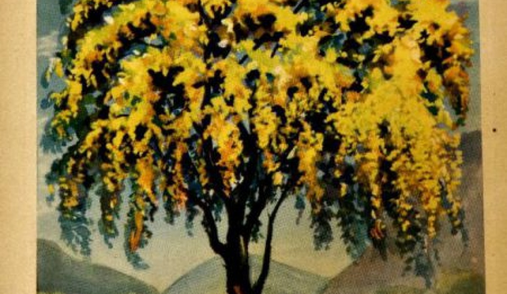 Festa Anual das Árvores: uma homenagem àquelas que desempenham importante papel no mundo