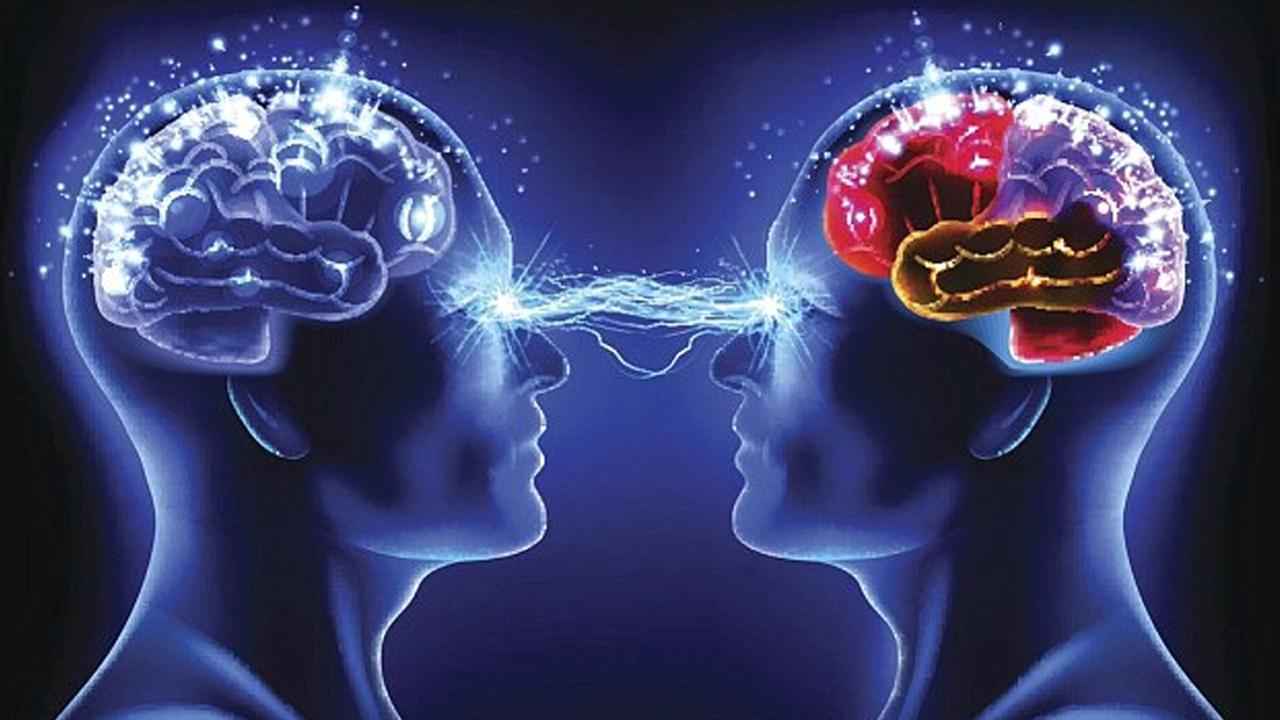 Desconexão Familiar: berçário das psicopatologias…