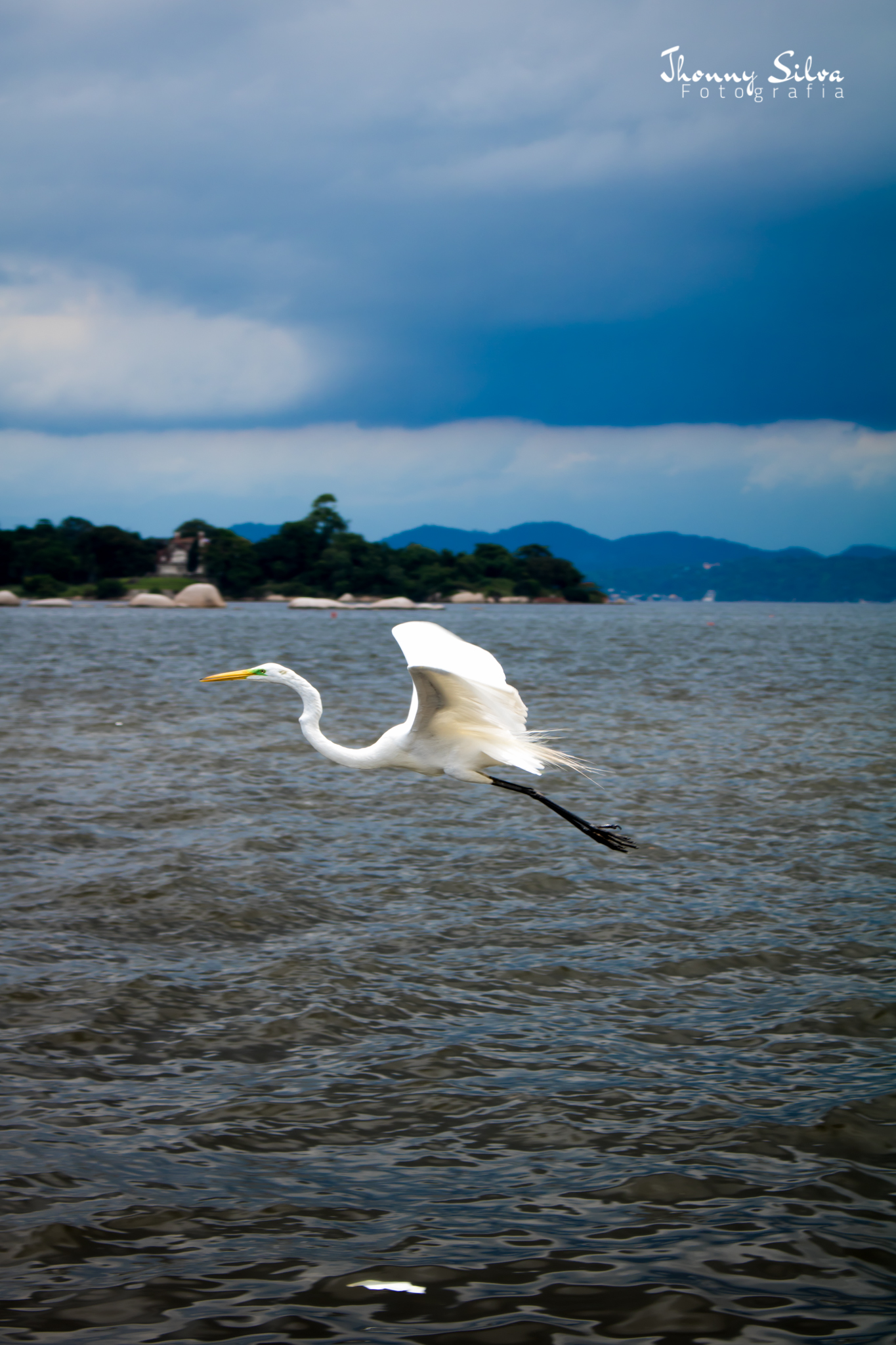 Câmeras de celular vão substituir as profissionais?