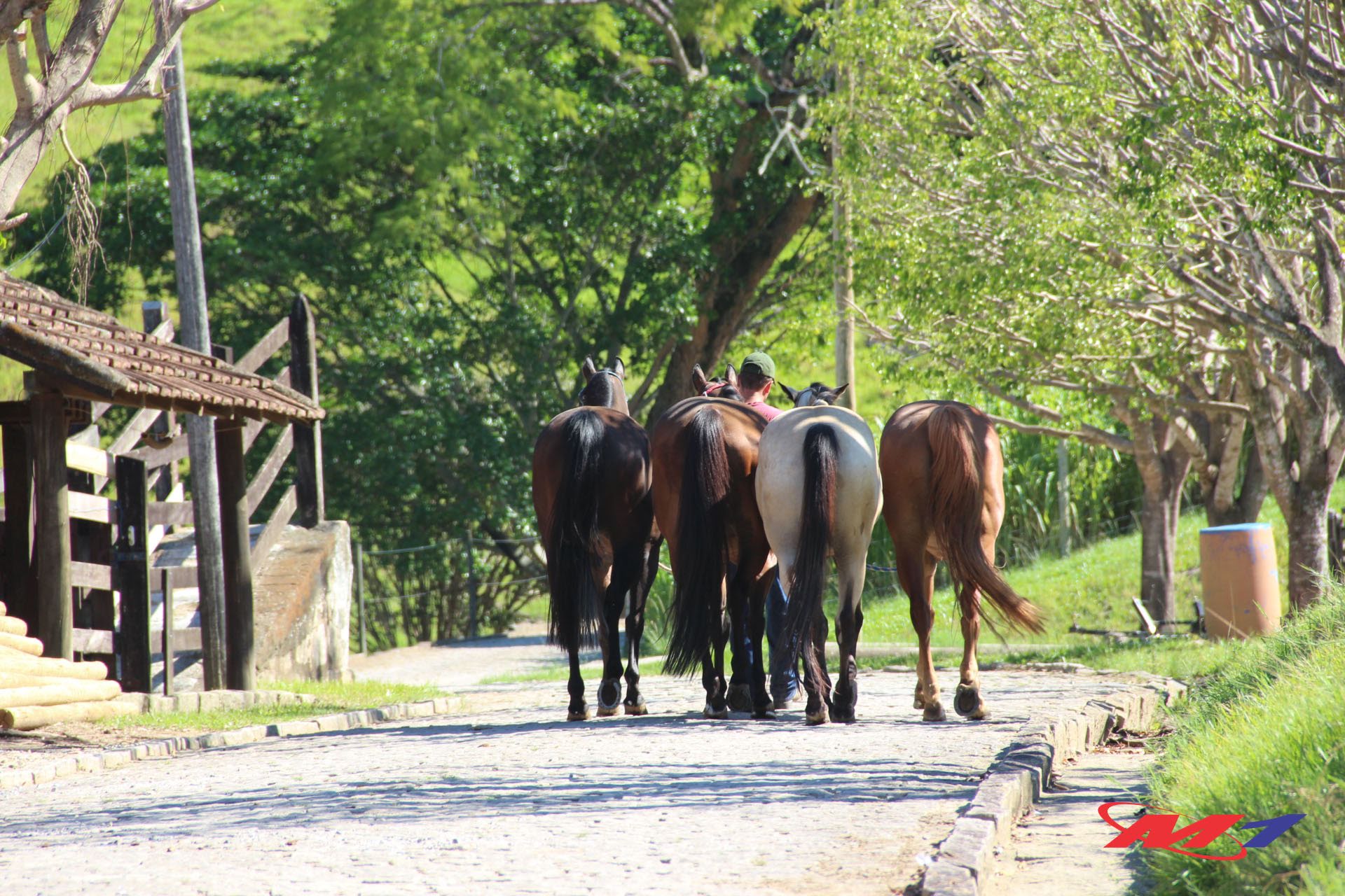 Espraiado de Portas Abertas Horse Center