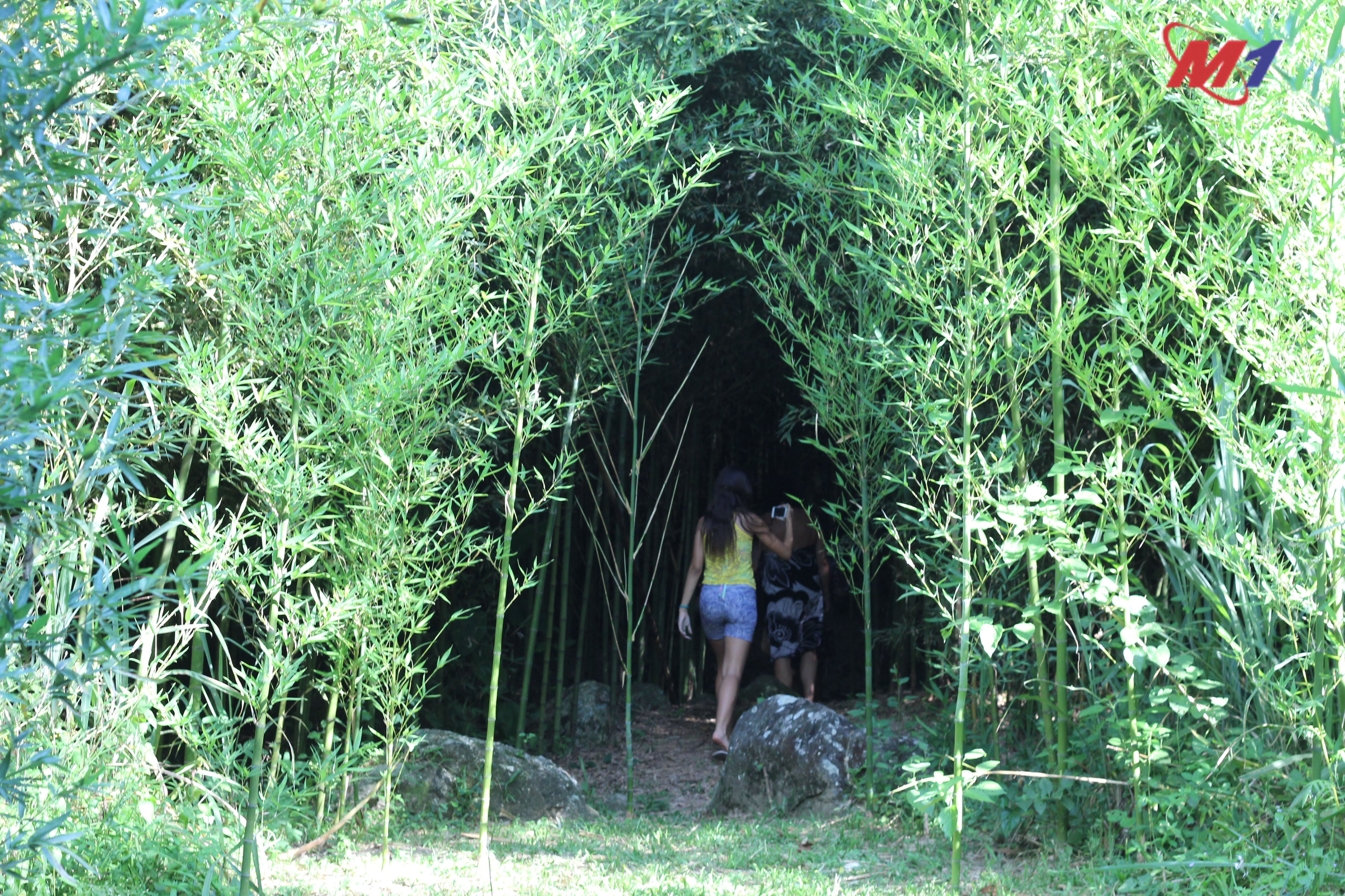 Espraiado Sítio do Riacho caminhada sensorial 