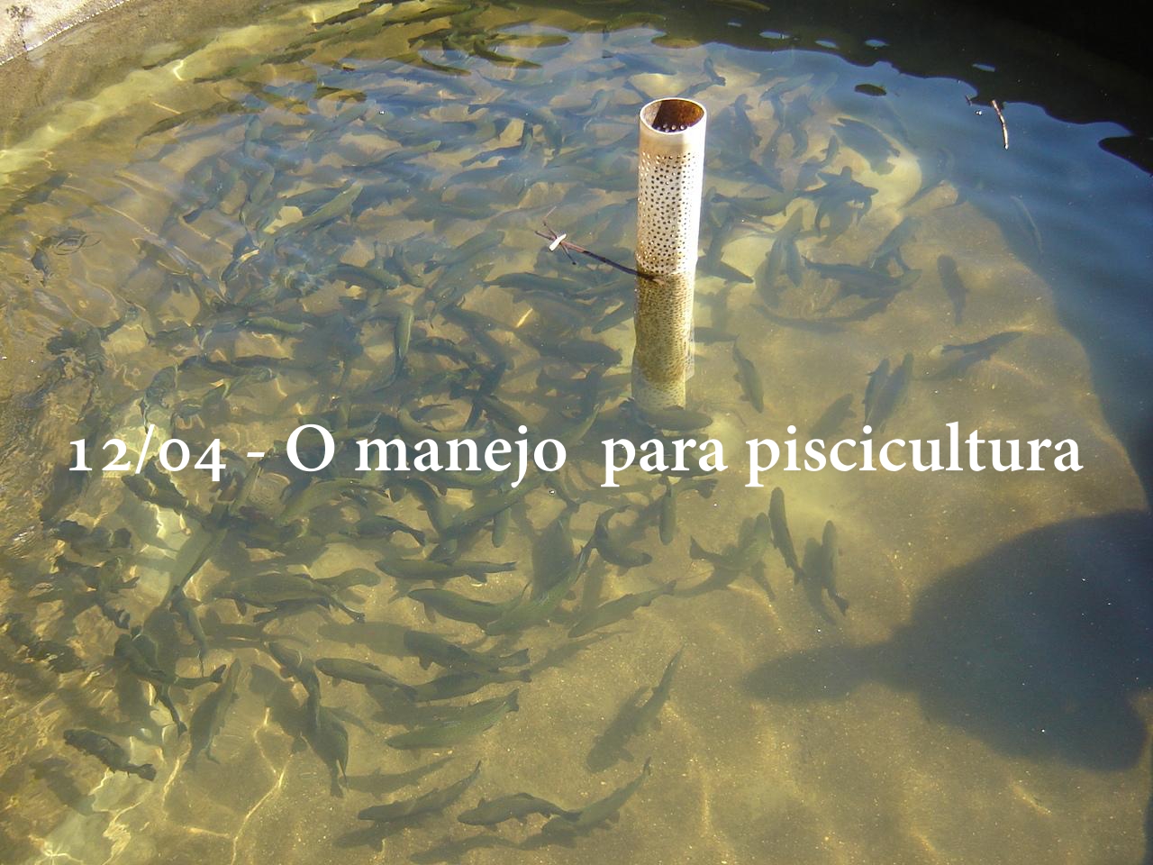 3ª palestra gratuita sobre piscicultura