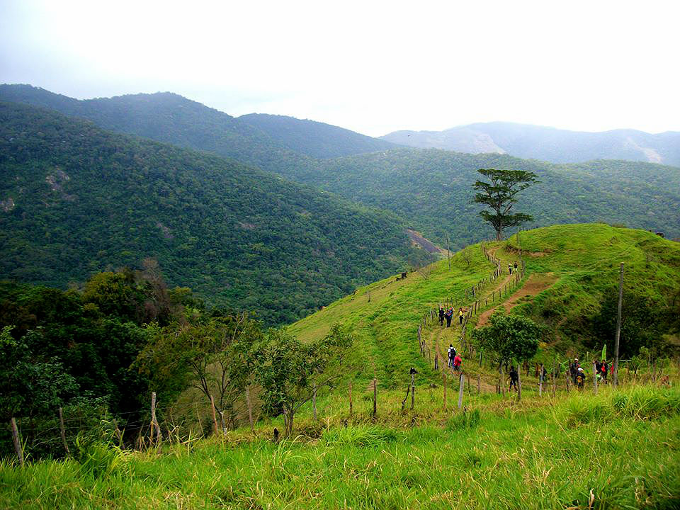 Dia do Meio Ambiente: Atividades em prol da natureza
