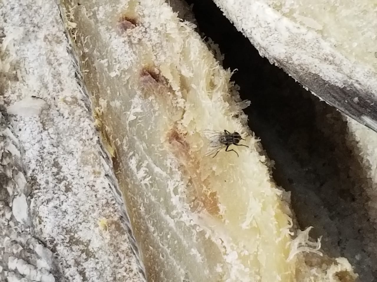 Supermercado autuado pelo Procon Estadual