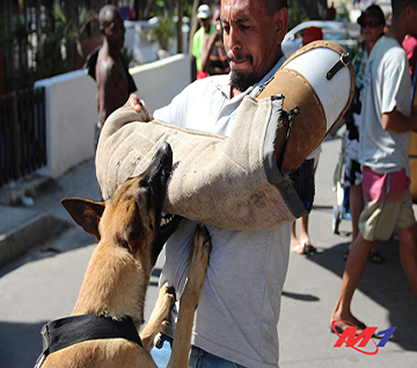 David Souza e sua maravilhosa Fúria do Canil Grand Reale. Encontro Anula de Paraquedista em Itaipuaçu