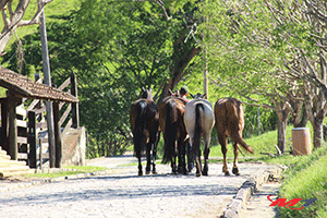 Espraiado de Portas Abertas Fev/2020 