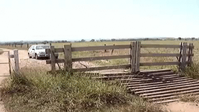 Espraiado de Portas Abertas Fev/2020 – Costela