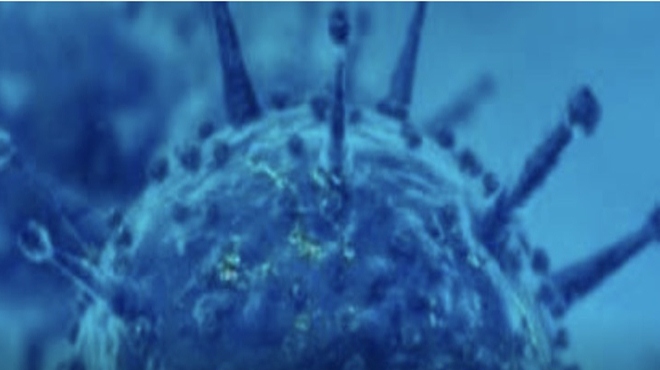 Boletim Coronavírus de 29/03/2020