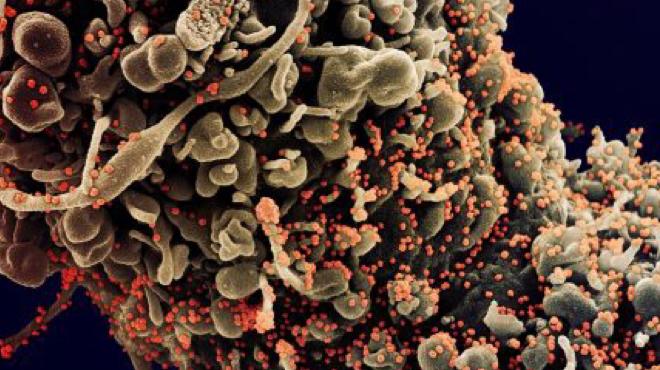 Boletim Coronavírus de 23/04/2020 – Maricá