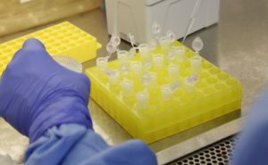 Últimas Notícias - 25/Abril - noite