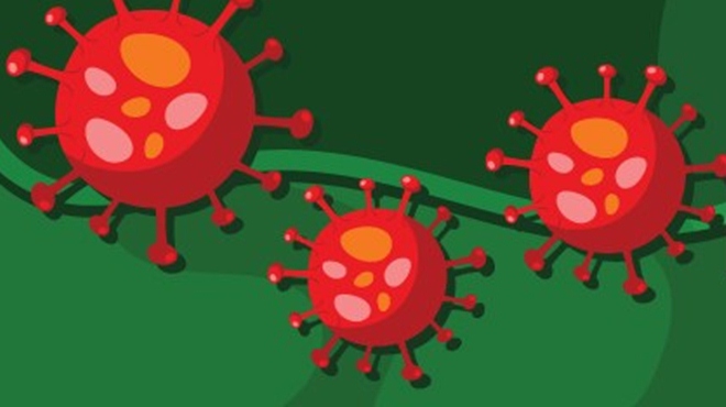 boletim coronavírus de 01/04/2020