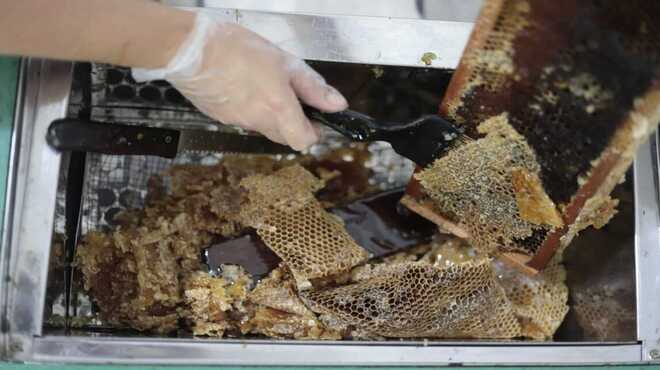 Mel da Fazenda Ibiaci começa a ser processado