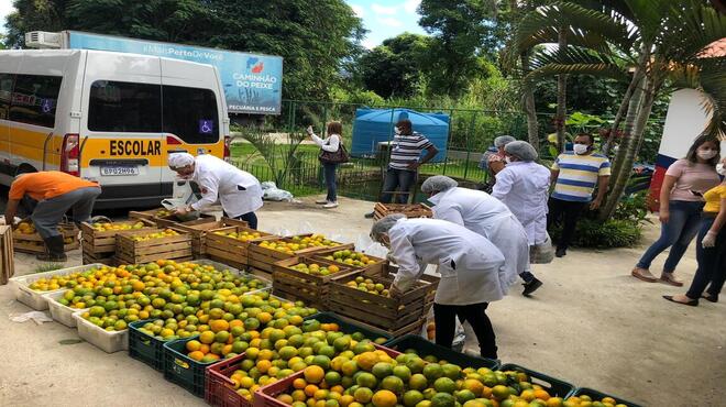 100 cestas de hortifrúti