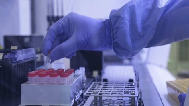 Brasileiros desenvolvem vacina experimental em spray nasal contra COVID-19