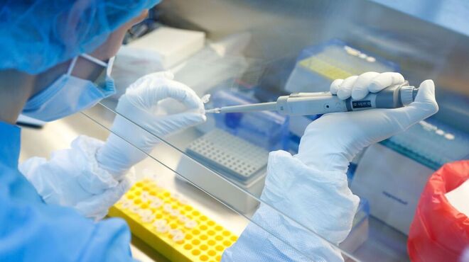 Brasil ultrapassa as 40 mil mortes pelo novo coronavírus