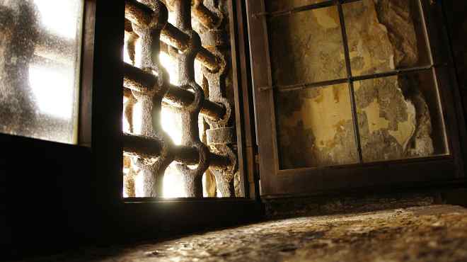 a verdade e a liberdade