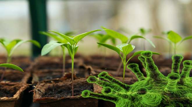 Boletim Coronavírus de 22/11/2020 – Maricá