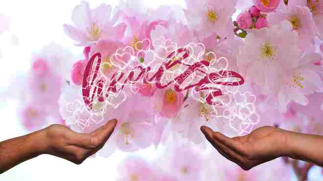 Boletim Coronavírus de 06/11/2020