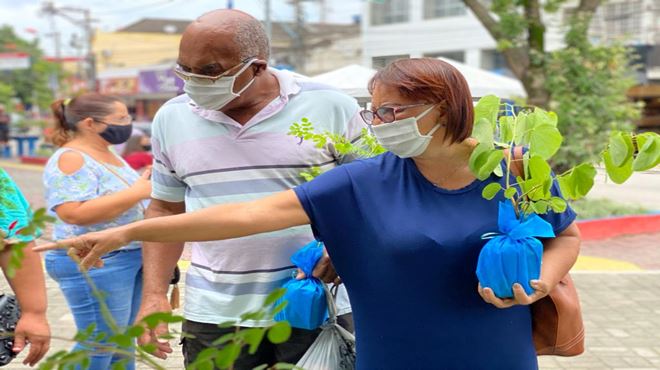 Maricá+Verde distribui mudas nativas da Mata Atlântica no Centro