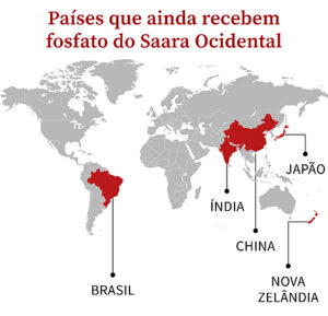 Países que ainda recebem fosfato do Saara Ocidental / Michele Gonçalves
