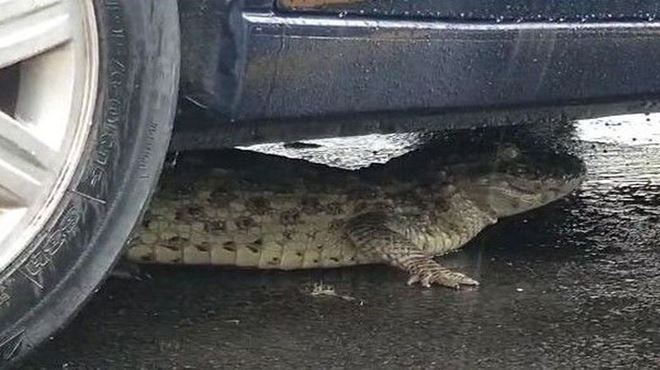 estacionamento de um condomínio