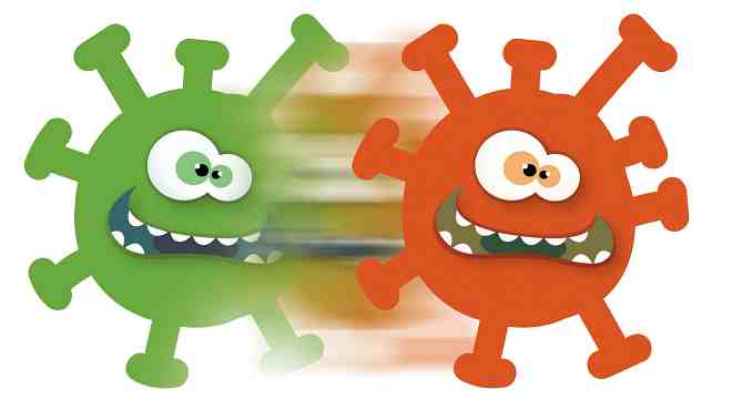 Boletim Coronavírus de 19/05/2021