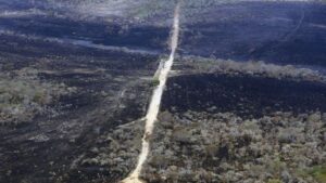 Segundo o MapBiomas, 43,7% do Cerrado já foi destruído para dar lugar à agropecuária — Foto: Agência Brasil