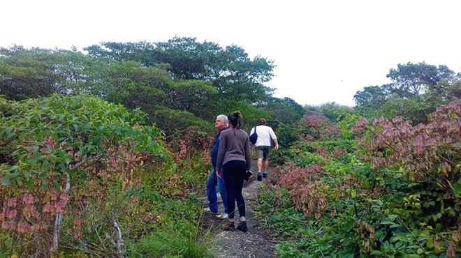 Morro da Peça é a atração deste sábado do Circuito Ecológico