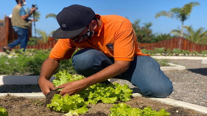 Distribuição de hortaliças no Parque Nanci e abóboras no Centro