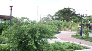 Praça Agroecológica de Araçatiba