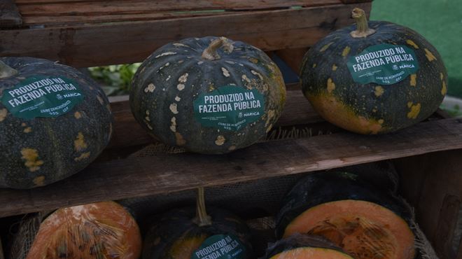 Segunda edição do Sábado Agroecológico teve como tema as ‘sementes crioulas’