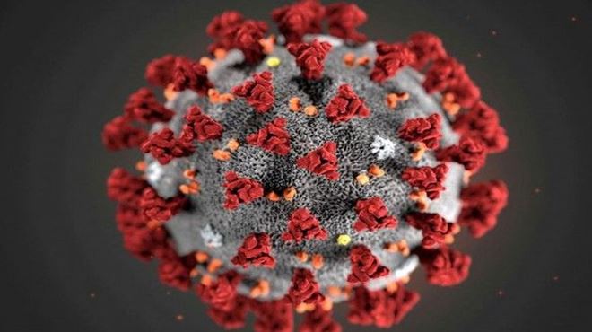 Variante delta tem o dobro de risco de levar à hospitalização do que a alfa, diz estudo com 43 mil casos da Covid