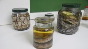 Unidade de Conservação no Espraiado