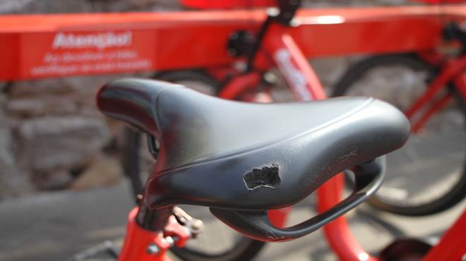 Maricá faz apelo à população para que cuide das Vermelhinhas