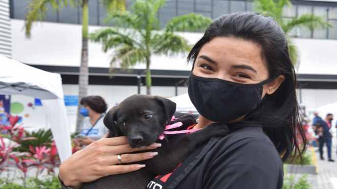 6ª edição da Campanha de Adoção de Cães e Gatos