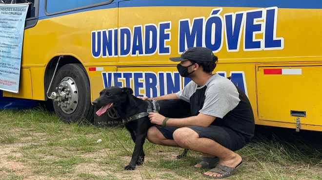 Castramóvel atende 220 caninos e felinos em Inoã