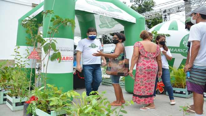 Maricá distribui 300 plantas da Mata Atlântica na última edição de 2021 do projeto Maricá+Verde