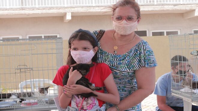 Campanha de adoção consegue lar para 13 bichinhos