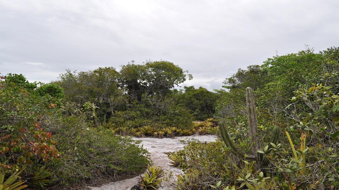 MARAEY é declarado projeto de interesse estratégico