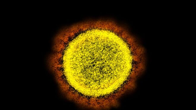 transtornos psiquiátricos