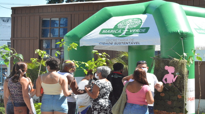 Maricá+Verde doa 200 mudas de ipê-rosa para mulheres