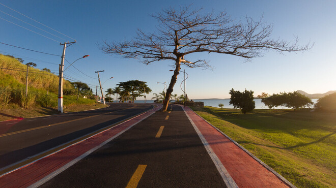 Corrida e caminhada pela vida da mulher no domingo